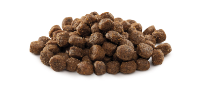 Brit Premium Dog Adult S Корм сухий для дорослих собак дрібних порід вагою 1-10 кг з куркою 1 кг