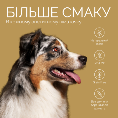 Savory Bars With Salmon Джерки батончики з лососем, 100 г