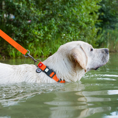 WAUDOG Waterproof Нашийник для собак з QR паспортом, водостійкий, помаранчевий, Ш 15 мм, Д 25-35 см, пластикова пряжка-фастекс