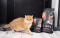 Savory Adult Cat Steril Fresh Lamb and Chicken Корм сухий для стерилізованих котів з ягнятиною та куркою 2 кг