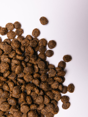 Savory Small Breed rich in Fresh Turkey and Lamb Корм сухий для дорослих собак малих порід зі свіжим ягням та індичкою 1 кг