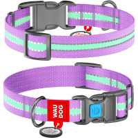 WAUDOG Nylon Нашийник для собак з QR паспортом, світлонакопичувальний, фіолетовий Ш 15 мм, Д 25-35 см, пластикова пряжка-фастекс
