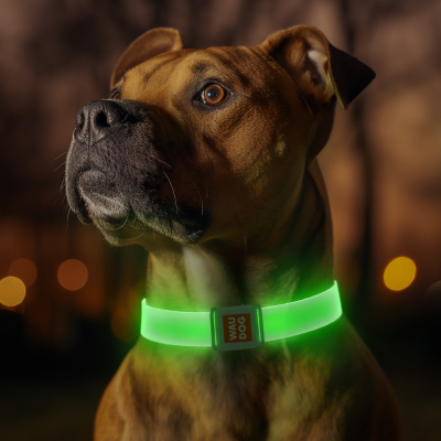 WAUDOG LED Нашийник для собак з підсвічуванням Ш 25 мм, 35 см, магнітна застібка