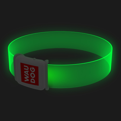 WAUDOG LED Нашийник для собак з підсвічуванням Ш 25 мм, Д 60 см, магнітна застібка