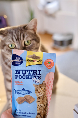 Nutri Pockets Ласощі для котів Рибні Лосось 60г