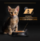 Purina Pro Plan Junior Nutrisavour Вологий корм для кошенят з індичкою 75 г