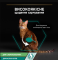 Purina Pro Plan Veterinary Diets Sterilised Консервований корм для стерилізованих котів з тунцем та лососем, шматочки в паштеті 85 г