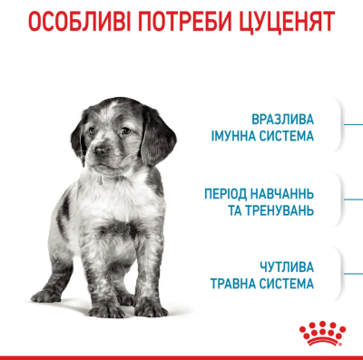 Royal Canin Medium Puppy Сухий повнораціонний корм для цуценят середніх порід до 12 місяців, 4 кг