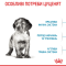 Royal Canin Medium Puppy Сухий повнораціонний корм для цуценят середніх порід до 12 місяців, 4 кг