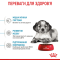 Royal Canin Medium Puppy Сухий повнораціонний корм для цуценят середніх порід до 12 місяців, 4 кг