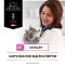 Purina Pro Plan Veterinary Diets Veterinary Diets UR Urinary Сухой диетический корм для лечения мочевыводящих путей у взрослых кошек 350 г
