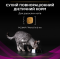 Purina Pro Plan Veterinary Diets Veterinary Diets UR Urinary Сухой диетический корм для лечения мочевыводящих путей у взрослых кошек 350 г