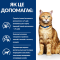 Hill's Prescription Diet Feline c/d Multicare Urinary Care Сухий ветеринарний корм для котів, з куркою, 400 г