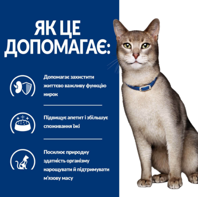 Hill's Prescription Diet Feline Сухий ветеринарний корм для кішок із захворюванням нирок і серцевої недостатності, 400 г