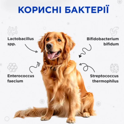 Modes Kombiflor Probitik Пробіотик для підтримки балансу мікрофлори кишечника собак та котів, 1 саше х 2 г