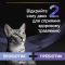 Purina Pro Plan FortiFlora Plus Пробіотик із пребіотиком для дорослих котів і кошенят для підтримання нормальної міклофлори кишківника, 1.5 г х 1 саше