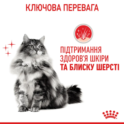 Royal Canin Hair & Skin Care Сухий повнораціонний корм для котів, догляд за шерстю, 400 г