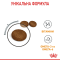 Royal Canin Hair & Skin Care Сухий повнораціонний корм для котів, догляд за шерстю, 400 г