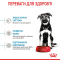 Royal Canin Maxi Puppy Сухий повнораціонний корм для цуценят великих порід з 2 до 15 місяців, НА ВАГУ