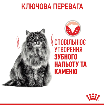 Royal Canin Oral Care Сухий дієтичний корм для зменшення утворення зубного каменю у кішок, 400 г