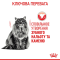 Royal Canin Oral Care Сухий дієтичний корм для зменшення утворення зубного каменю у кішок, 400 г