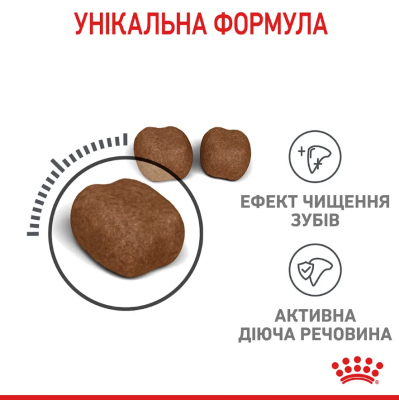 Royal Canin Oral Care Сухий дієтичний корм для зменшення утворення зубного каменю у кішок, 400 г