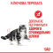 Royal Canin Urinary Care Сухий повнораціонний корм для підтримки здоров'я сечовидільної системи котів, 400 г