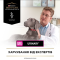 Purina Pro Plan Veterinary UR Urinary Сухий дієтичний корм для дорослих собак проти струвітних каменів 1.5 кг