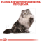 Royal Canin Persian Adult Сухий повнораціонний корм для перських кішок від 12 місяців, 2 кг
