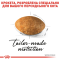 Royal Canin Persian Adult Сухий повнораціонний корм для перських кішок від 12 місяців, 2 кг