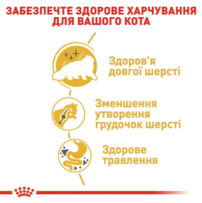 Royal Canin Persian Adult Сухий повнораціонний корм для перських кішок від 12 місяців, 2 кг