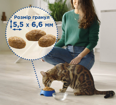 Purina Cat Chow Hairball Сухий повнораціонний корм для дорослих котів проти утворення шерстяних грудок, з куркою, НА ВАГУ