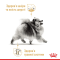 Royal Canin Pomeranian Adult Сухий повнораціонний корм для дорослих собак породи померанський шпіц, 500 г