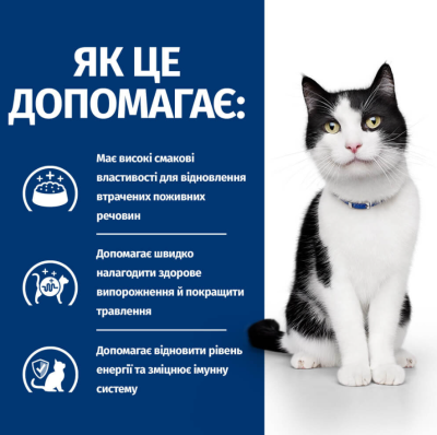 Hill's Feline I/D Сухий ветеринарний корм для котів, при захворюваннях шлунково-кишкового тракту, 400 г