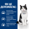 Hill's Feline I/D Сухий ветеринарний корм для котів, при захворюваннях шлунково-кишкового тракту, 400 г