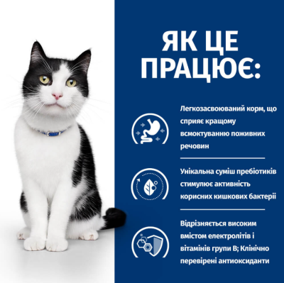 Hill's Feline I/D Сухий ветеринарний корм для котів, при захворюваннях шлунково-кишкового тракту, 400 г