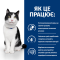 Hill's Feline I/D Сухий ветеринарний корм для котів, при захворюваннях шлунково-кишкового тракту, 400 г