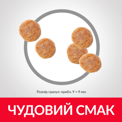 Hill's Science Plan Adult Сухий ветеринарний корм для котів з ягням і рисом, 300 г
