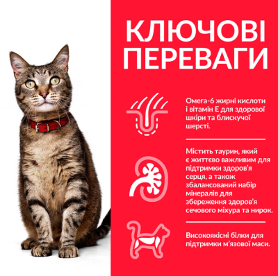 Hill's Science Plan Adult Сухий ветеринарний корм для котів з ягням і рисом, 300 г