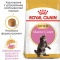 Royal Canin Maine Coon Kitten Сухий повнораціонний корм для кошенят мейн-кунів до 15 місяців, 400 г