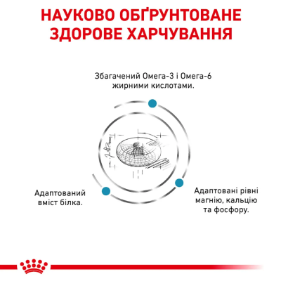 Royal Canin Skin & Coat Сухий ветеринарний корм для котів при дерматозе і випаданні шерсті, 400 г