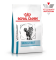 Royal Canin Skin & Coat Сухий ветеринарний корм для котів при дерматозе і випаданні шерсті, 400 г