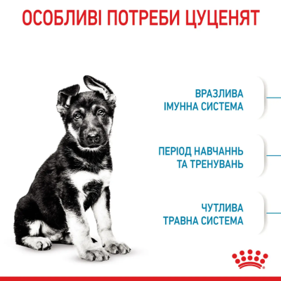 Royal Canin Maxi Puppy Сухий повнораціонний корм для цуценят великих порід від 2 до 15 місяців, 4 кг