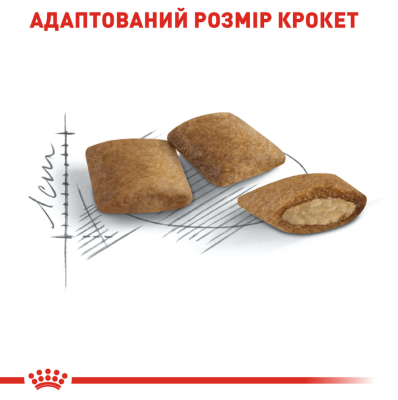 Royal Canin Ageing 12+ Сухий повнораціонний корм для кішок від 12 років, 2 кг