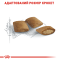 Royal Canin Ageing 12+ Сухий повнораціонний корм для кішок від 12 років, 2 кг