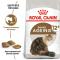 Royal Canin Ageing 12+ Сухий повнораціонний корм для кішок від 12 років, 2 кг