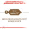 Royal Canin Ageing 12+ Сухий повнораціонний корм для кішок від 12 років, 2 кг