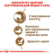 Royal Canin Ageing 12+ Сухий повнораціонний корм для кішок від 12 років, 2 кг