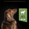 Purina Pro Plan Small & Mini Adult 1+ Sensitive Digestion Сухий повнораціонний корм для дорослих собак дрібних порід з чутливим травленням, з ягням, НА ВАГУ