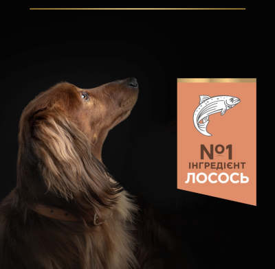 Purina Pro Plan Small & Mini Adult 1+ Sensitive Skin Сухий повнораціонний корм для дорослих собак дрібних порід з чутливою шкірою, з лососем 700 г